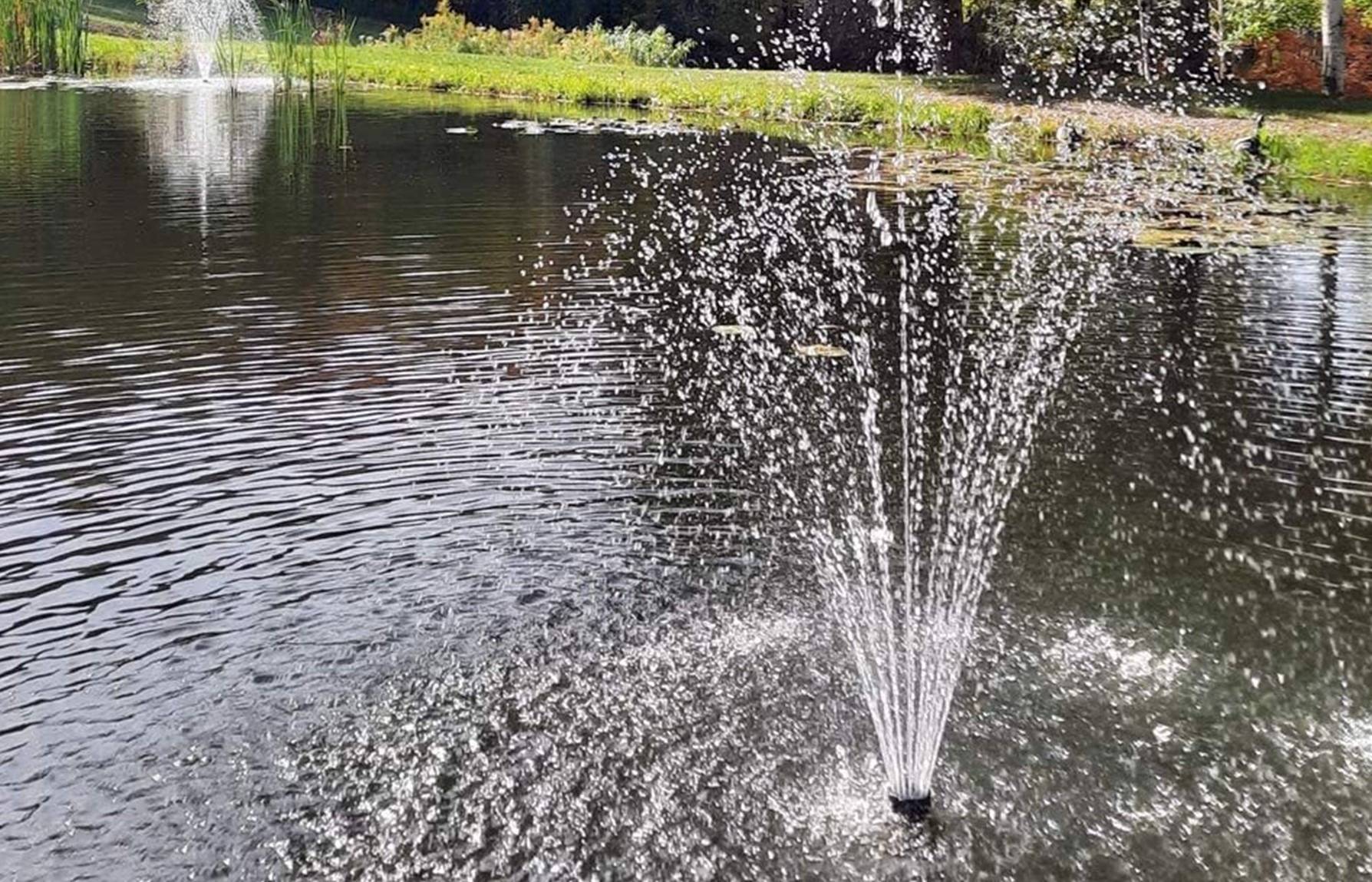 Lake fountain and pond